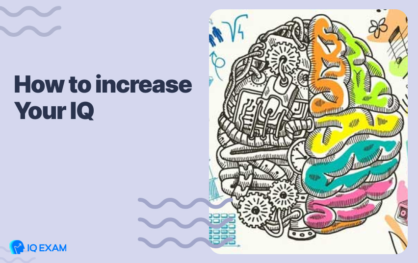 How to Increase Your IQ